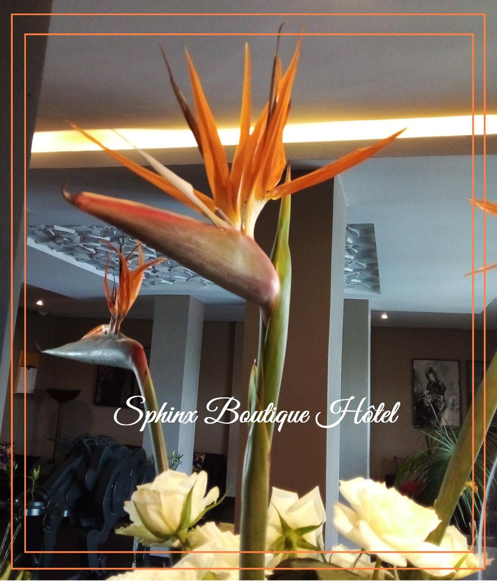 Le Sphinx Boutique Hotel Mohammedia Eksteriør bilde
